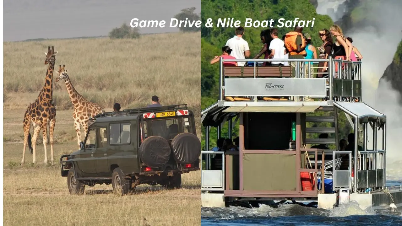 Game Drive and Nile Boat Safari in Murchison Falls