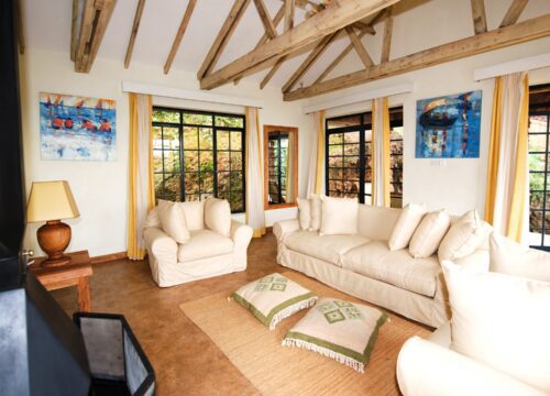 Charming and Luxury Lodges in Bwindi Impenetrable National Park – Explore the Hidden Gem