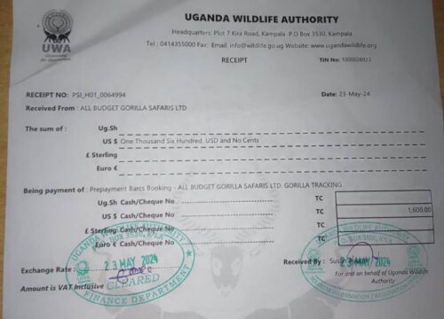 How to Buy a Gorilla Trekking Permit in Uganda (2025–2028 Full Guide)