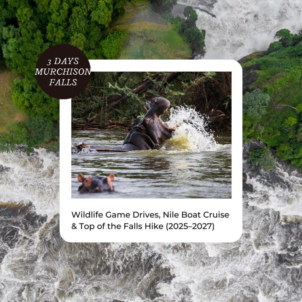 3 Days Murchison Falls Safari in Uganda – Wildlife | Nile Boat Cruise | Night Game Drive & Top of the Falls Hike (2025–2026)