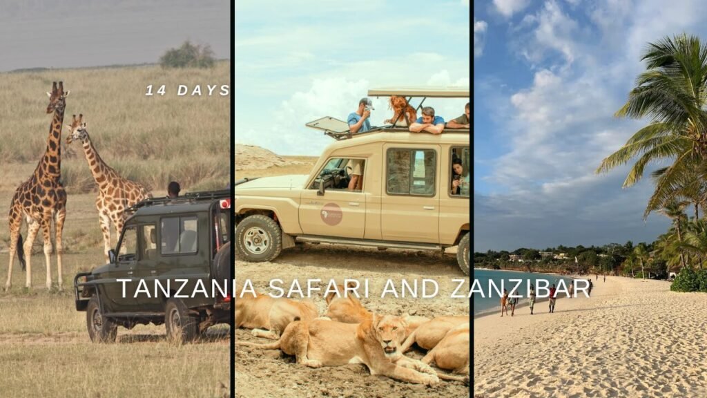 Unforgettable 14 Days Tanzania Safari and Zanzibar | Safari and Beach in One Trip