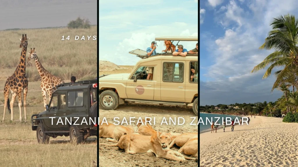 Unforgettable 14 Days Tanzania Safari and Zanzibar | Safari and Beach in One Trip