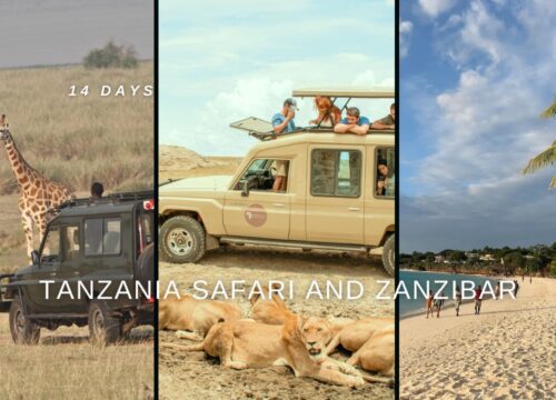 Unforgettable 14 Days Tanzania Safari and Zanzibar | Safari and Beach in One Trip
