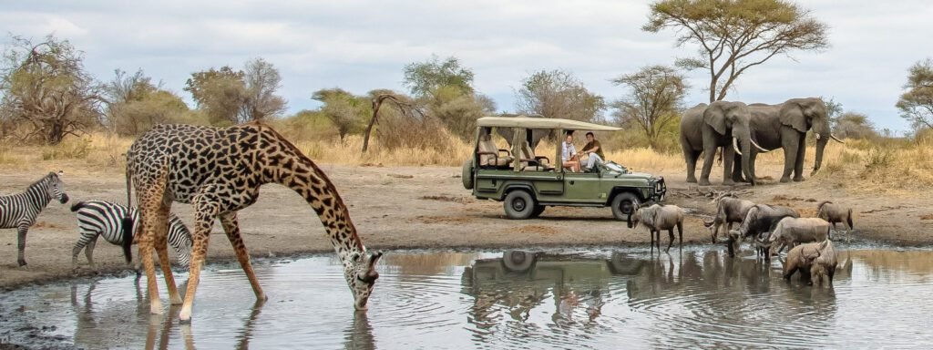 7 Days Tanzania Wildlife Safari | Big 5 Adventure