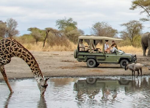 7 Days Tanzania Wildlife Safari | Big 5 Adventure