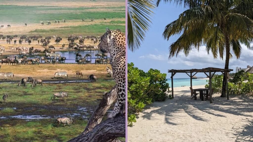 Unforgettable 10 Days Tanzania Safari and Zanzibar Relaxation | Best of Wildlife and Beach