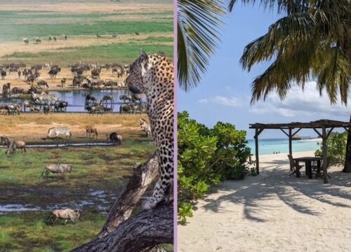 Unforgettable 10 Days Tanzania Safari and Zanzibar Relaxation | Best of Wildlife and Beach