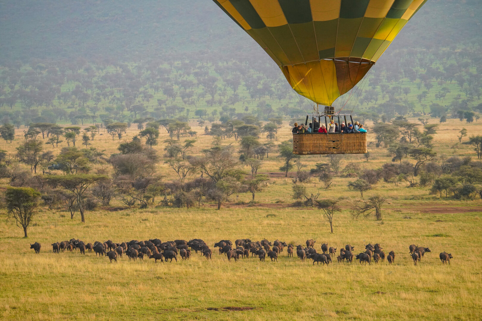 Unforgettable Hot Air Balloon Safaris in Serengeti and Masai Mara | Ultimate Aerial Adventure