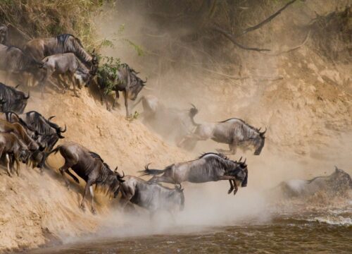 8 Days Great Migration Safari in Tanzania