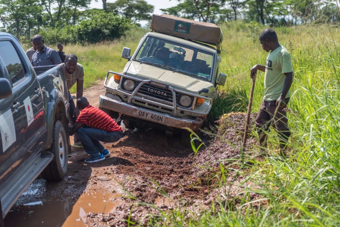 Is it safe to do a self-drive safari in Uganda?