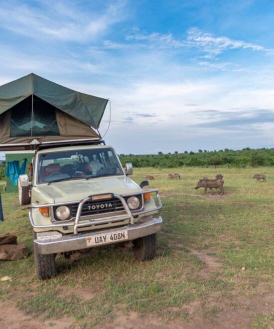 Self-Drive Safaris in Uganda: Ultimate Guide for 2025–2026 (Routes, Costs, Vehicles & Travel Tips)