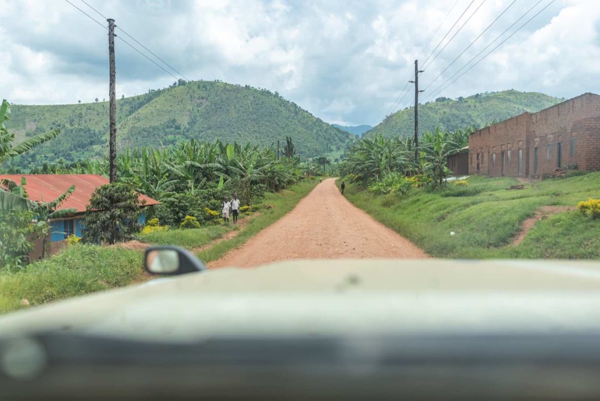 Best Time for Gorilla Trekking in Africa