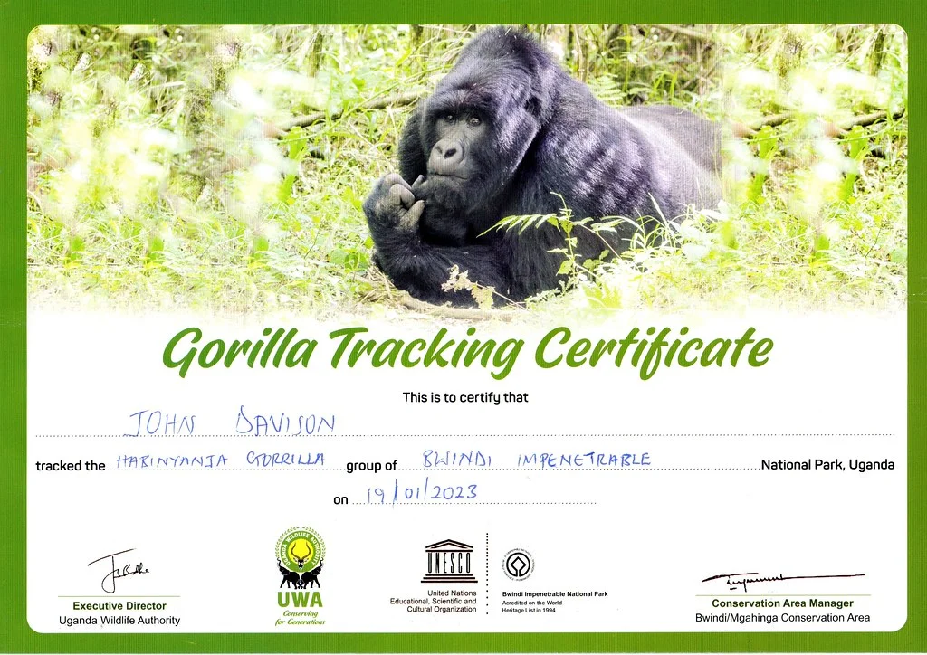 3 Days Gorilla Trekking in Africa with Nextgen Safaris