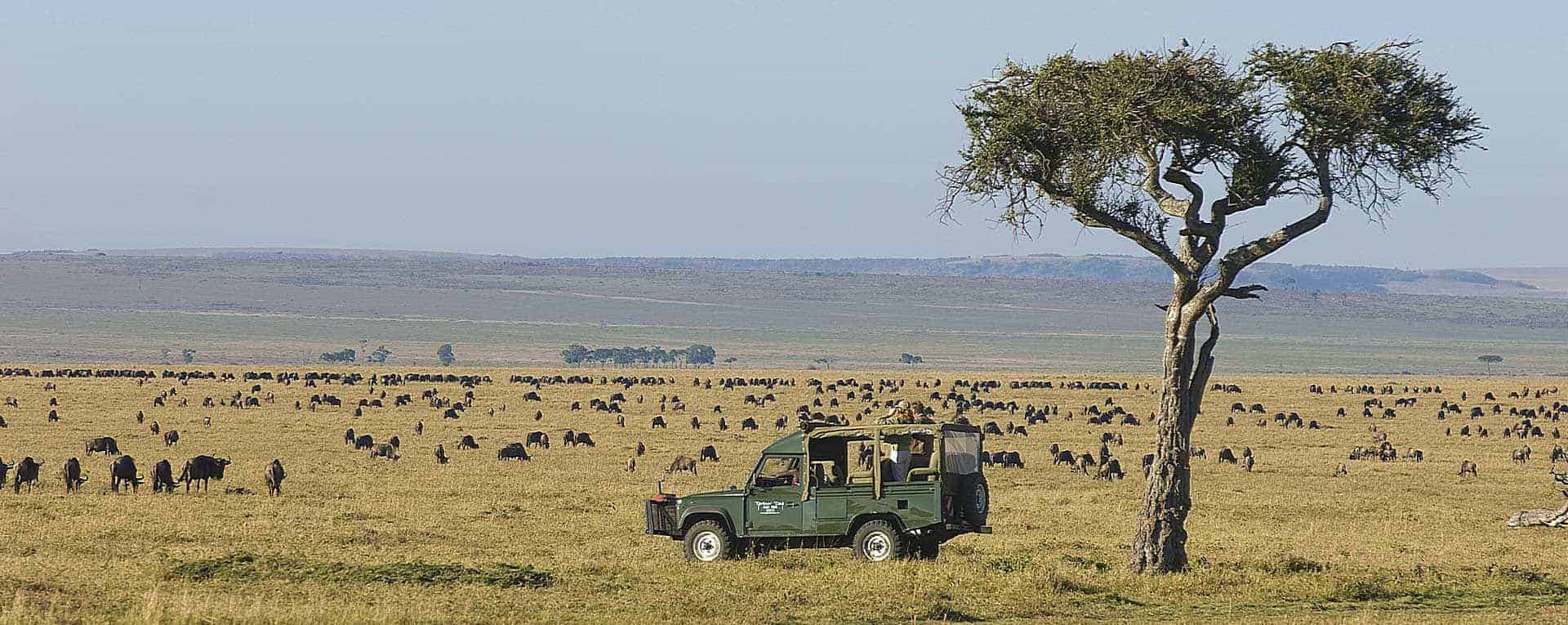 5 Days Kenya Camping Safari | Budget Group Safari Masai Mara & Nakuru