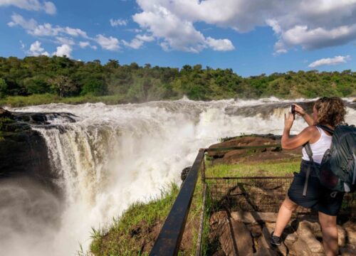 Murchison Falls National Park: The Ultimate Safari Destination in Uganda