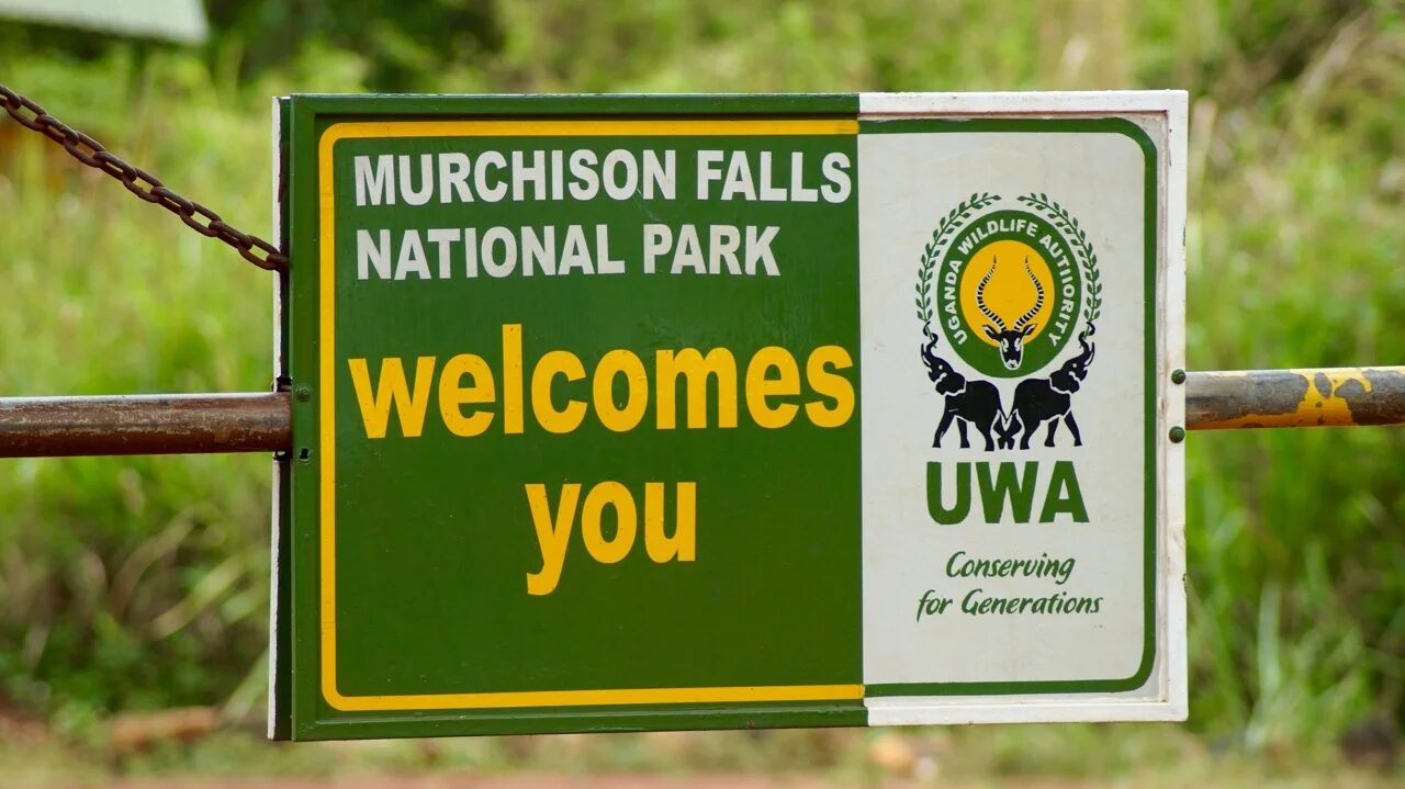 Murchison Falls Safaris: Complete Guide to Uganda’s Top Safari Destination (2025–2026)
