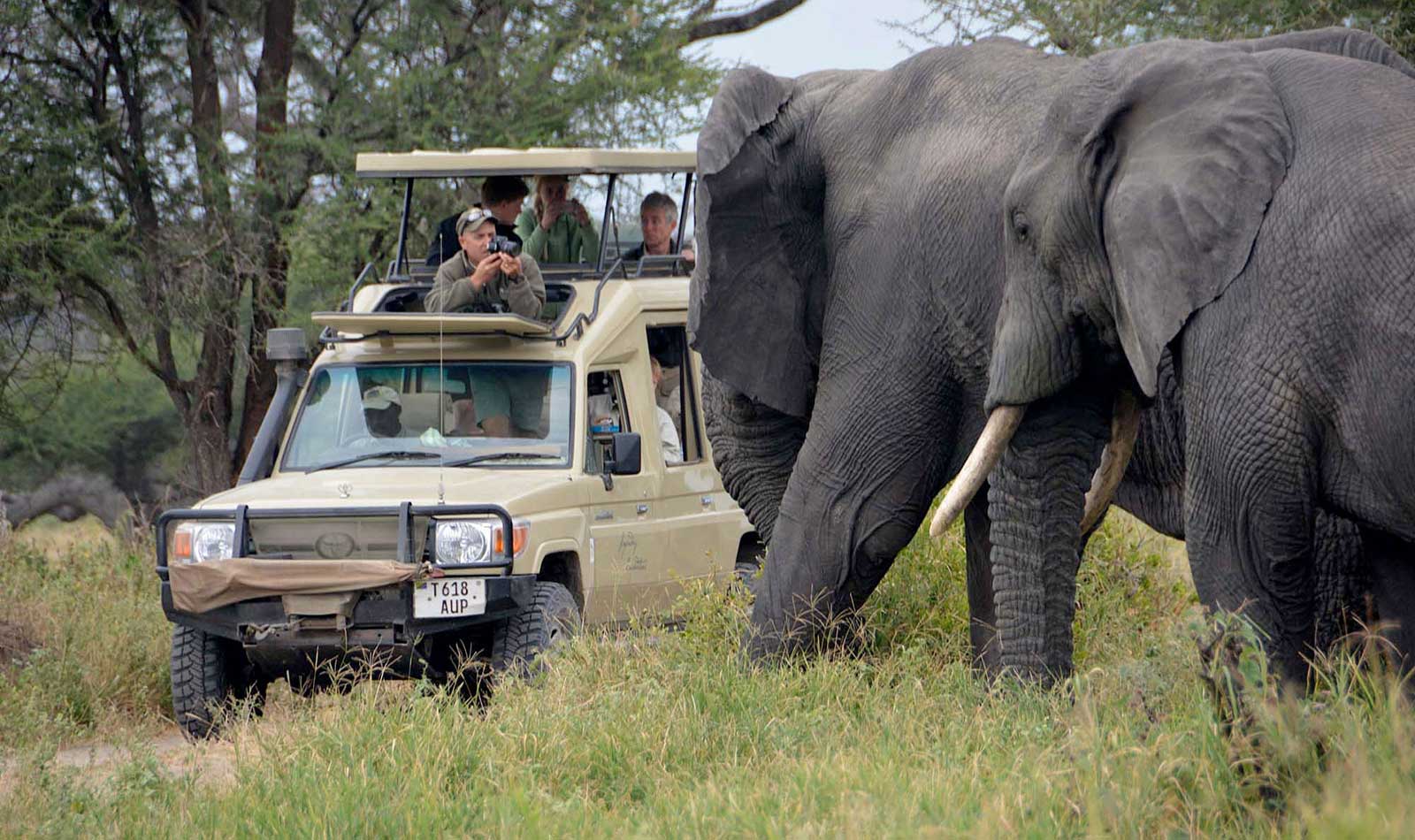 Travel Tips for Visiting Tarangire National Park
