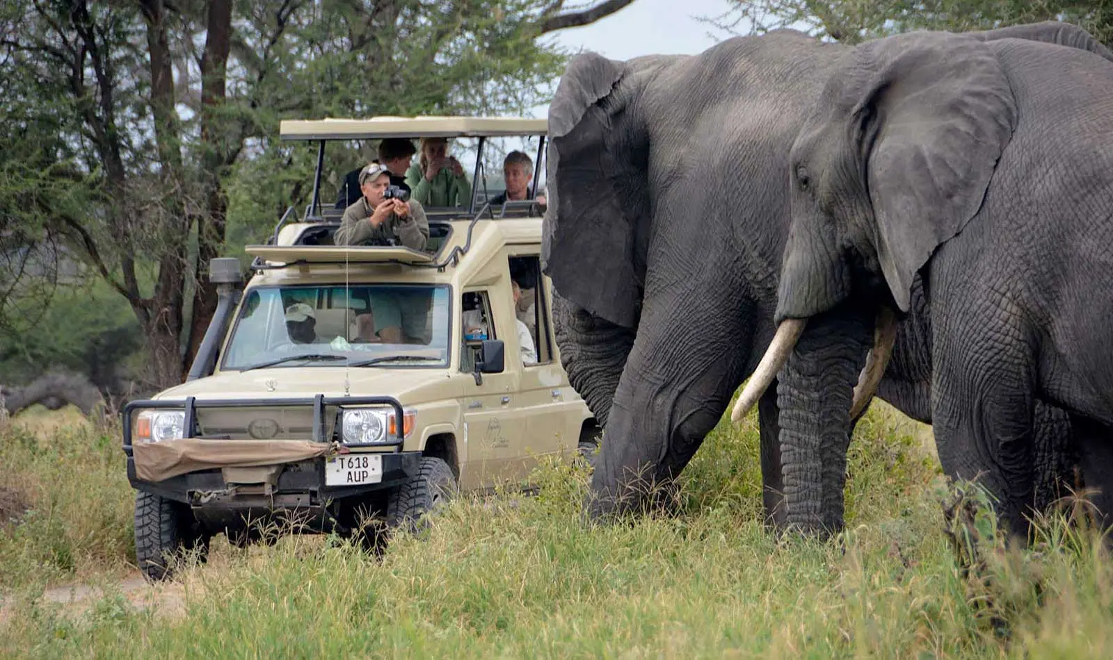 Travel Tips for Visiting Tarangire National Park
