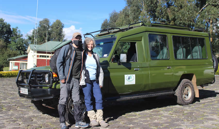 Where to See Gorillas in the Wild – Best & Cheapest Trekking Destinations