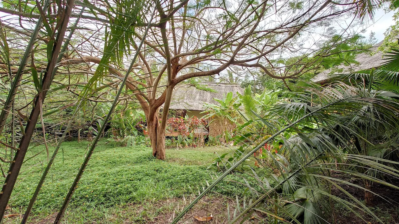 Lodges and Accommodation Options in Congo