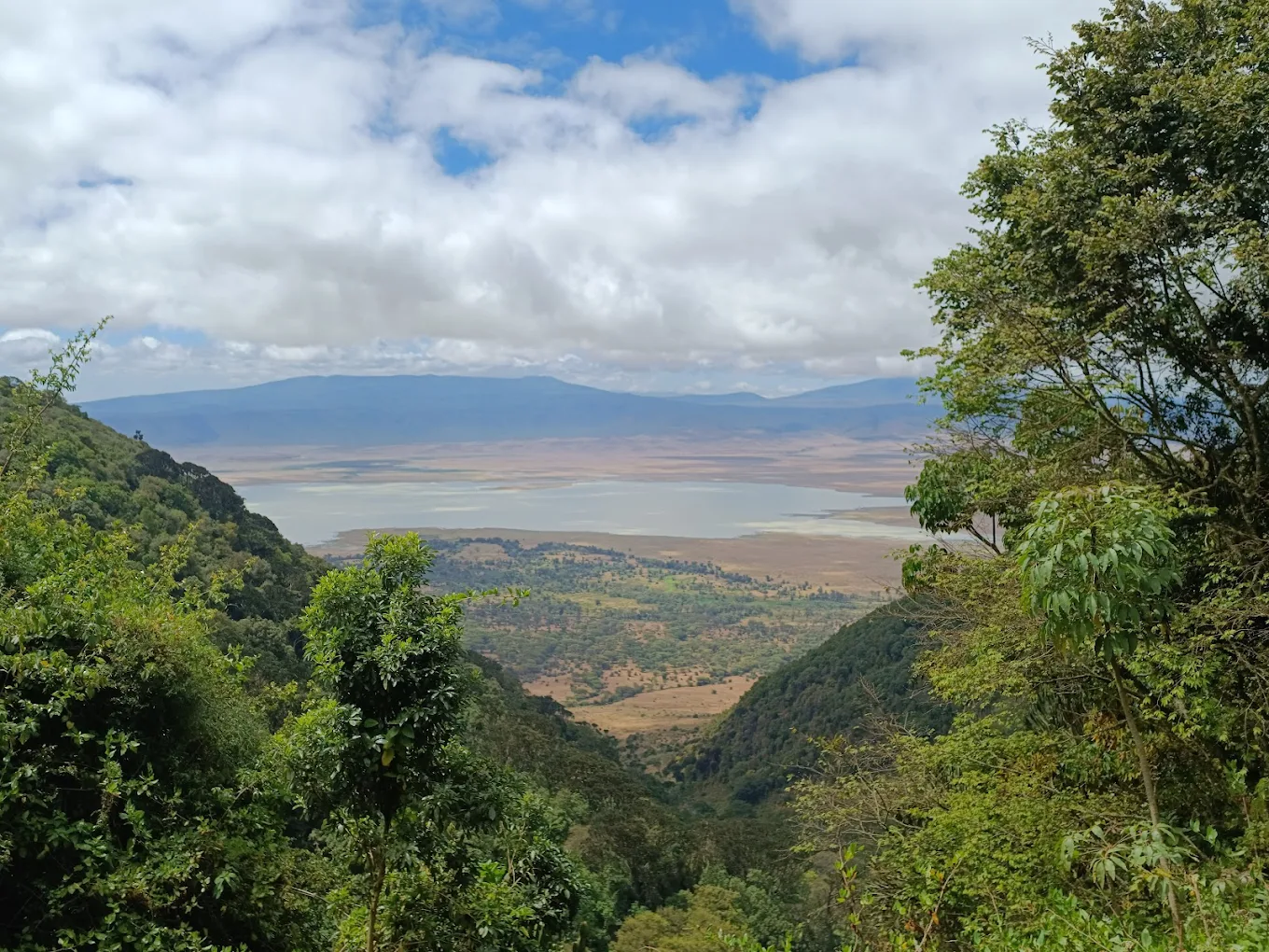 6 Days Northern Tanzania Safari – Lake Manyara to Ngorongoro 