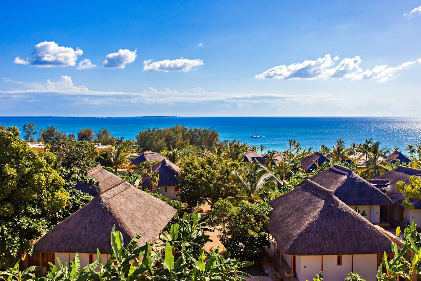Unforgettable 10 Days Tanzania Safari and Zanzibar – Best of Wildlife and Beach 