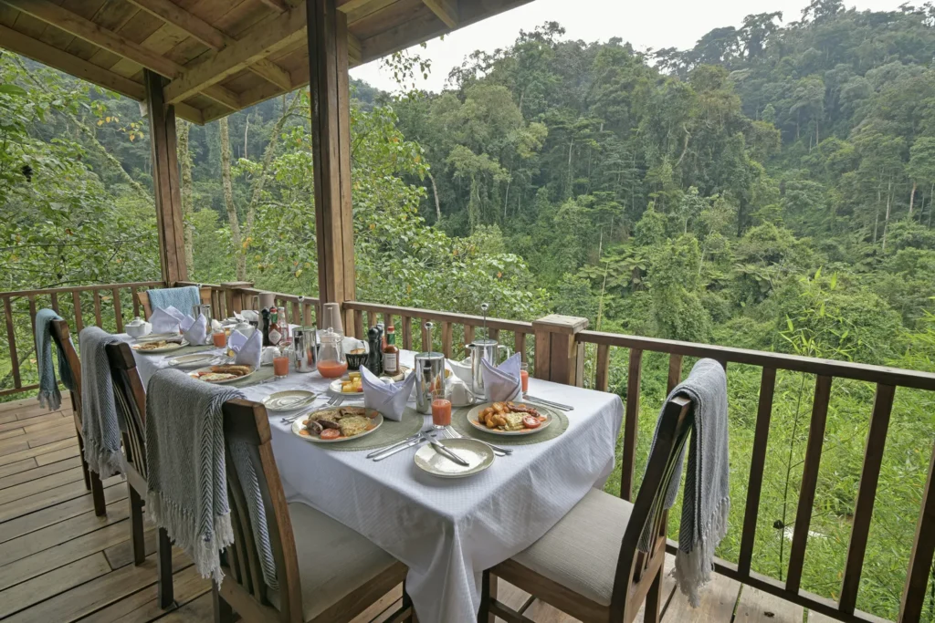 10 Days Private Uganda Luxury Safari | Exclusive Hotels and Luxury Excursions