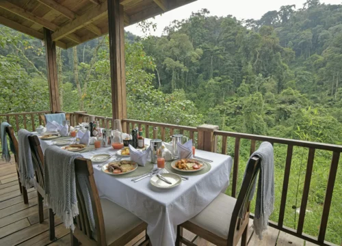 10 Days Private Uganda Luxury Safari | Exclusive Hotels and Luxury Excursions