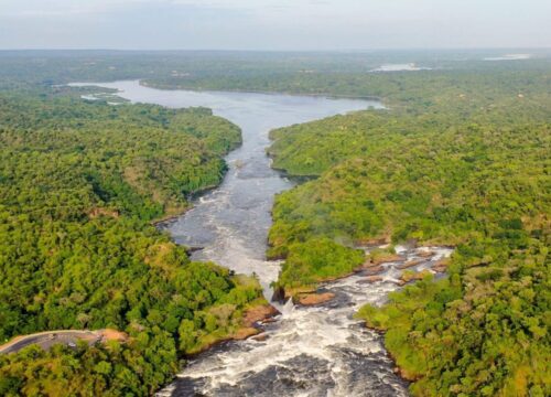 Majestic 4 Day Murchison Falls Safari – Ziwa Rhino, Budongo Chimpanzees & Wildlife Safari