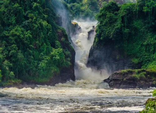 Epic 4 Day Murchison Falls – Ziwa Rhino & Wildlife Safari - An unforgettable journey into Uganda’s wild heart