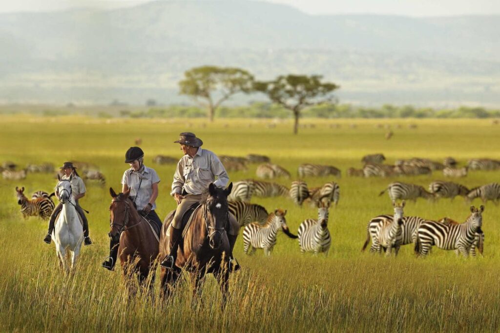Lake Mburo National Park Safari