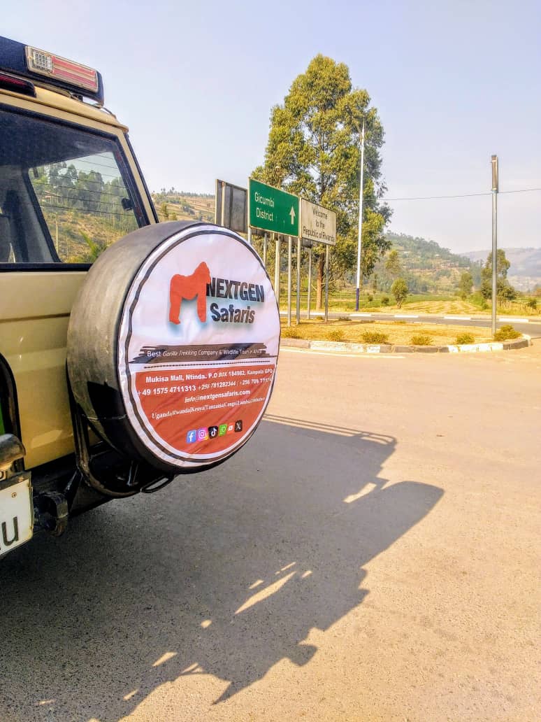 Safari Adventure in Uganda