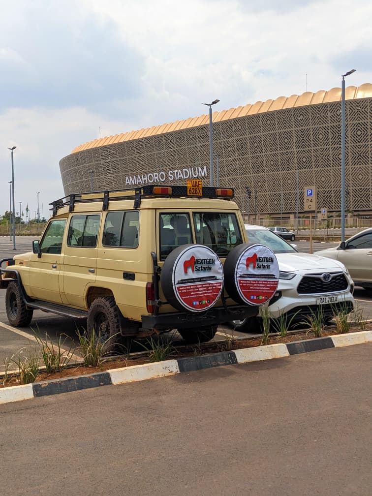 Wildlife photo from safari