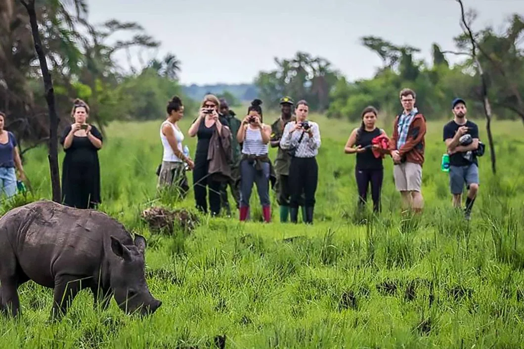 Ziwa Rhino Sanctuary-Family-Friendly Tours in Uganda