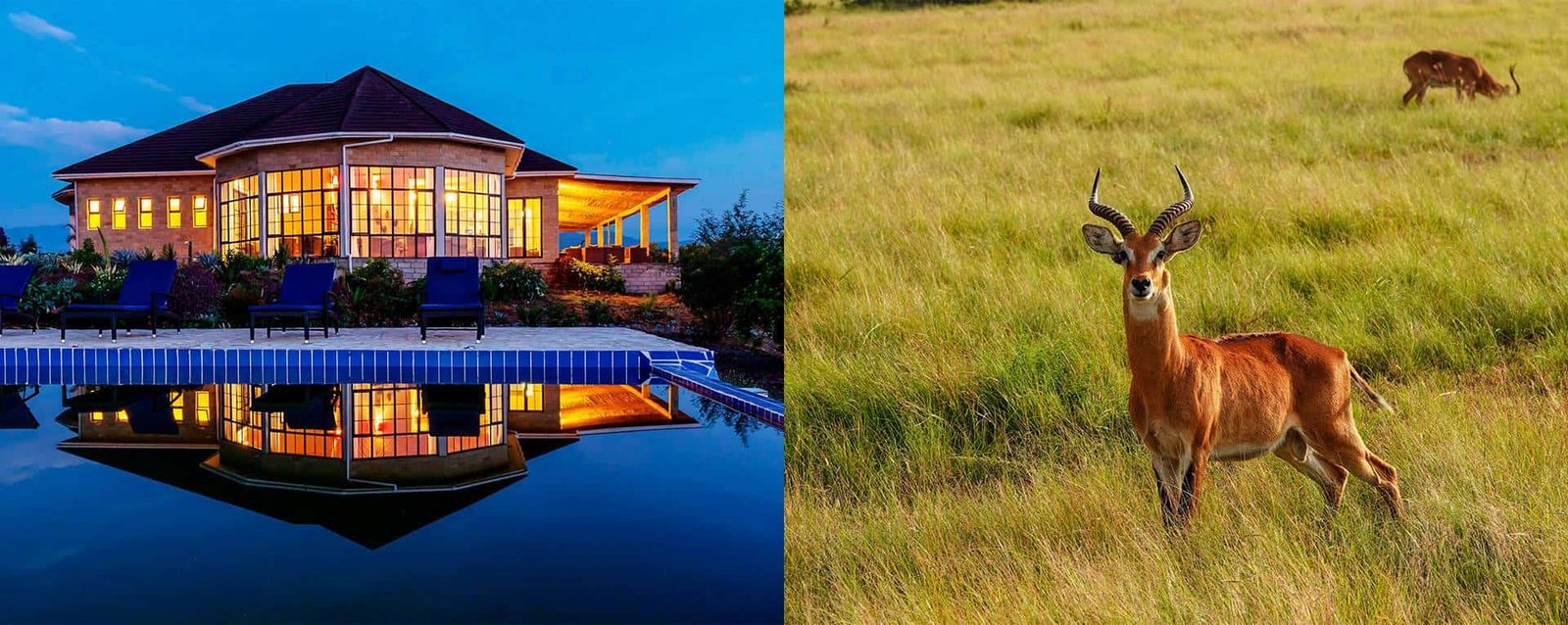 Elephant Plains Lodge Exterior
