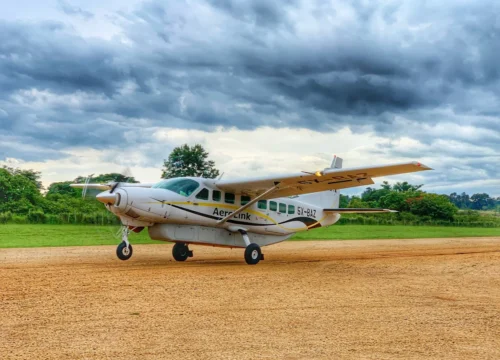 Flights to Bwindi Impenetrable National Park – Best Routes, Airstrips & Schedules (2025 Guide)