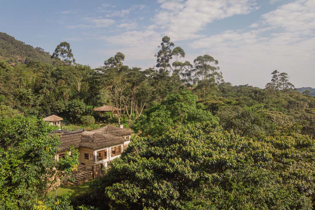Bwindi Lodge Uganda