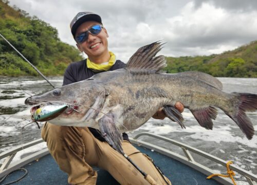 Fishing Safaris in Uganda – Lake Victoria, Murchison Falls, Lake Mburo & Queen Elizabeth National Park