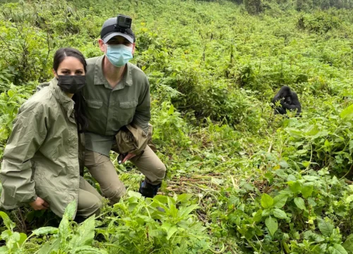 4 Days Gorilla Trekking and Gorilla Habituation | Best of Bwindi Impenetrable National Park