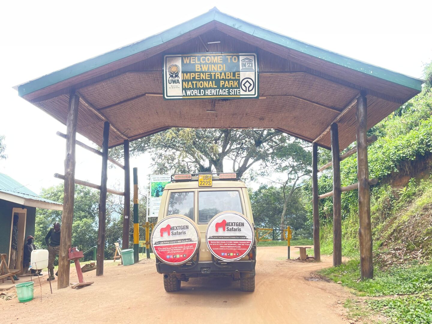 4 Days Double Gorilla Trekking Detailed Day-by-Day Itinerary