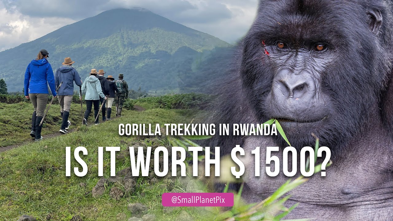 Frequently Asked Questions — 3 Days Uganda Gorilla Trekking Safari for South African Nationals 