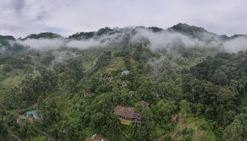 Top Places to Visit in Uganda (2026–2030 Honest Travel Guide)