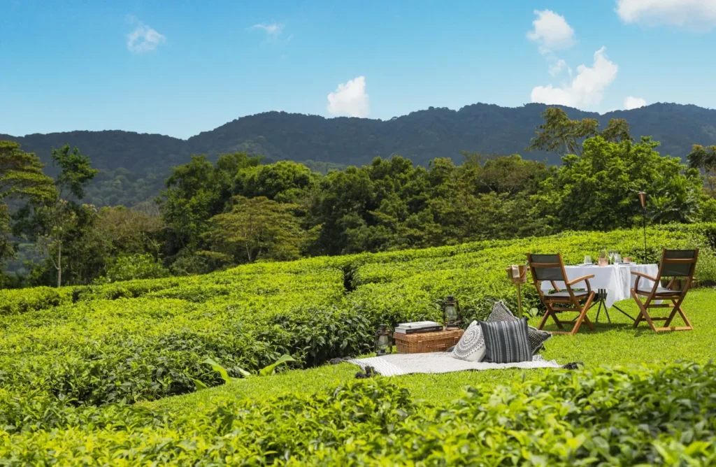 6 Days Birding Safari Rwanda