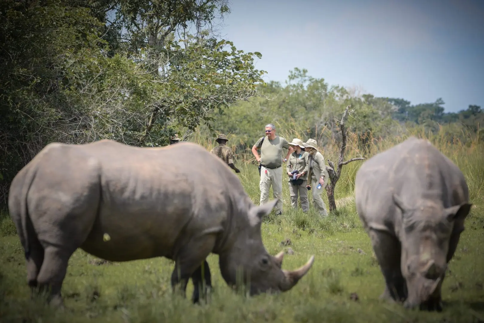 Ziwa Rhino Sanctuary Park Entrance Fee (Updated Information)
