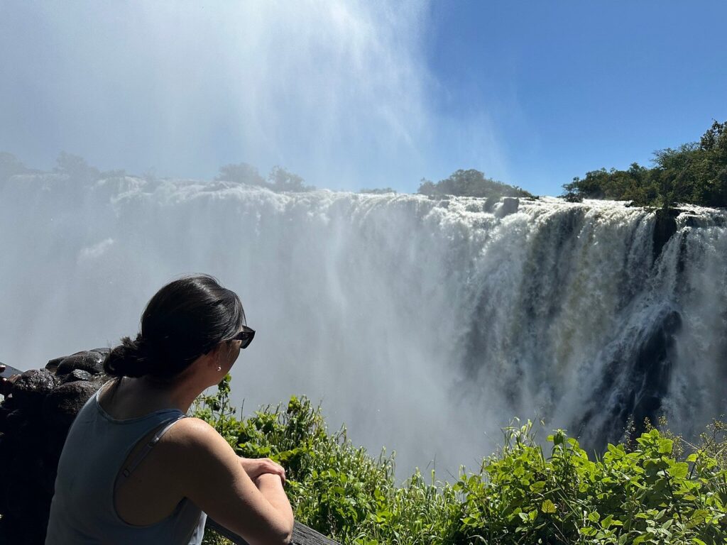 Victoria Falls and Chobe Tours (2026–2030 Complete Guide by Nextgen Safaris)