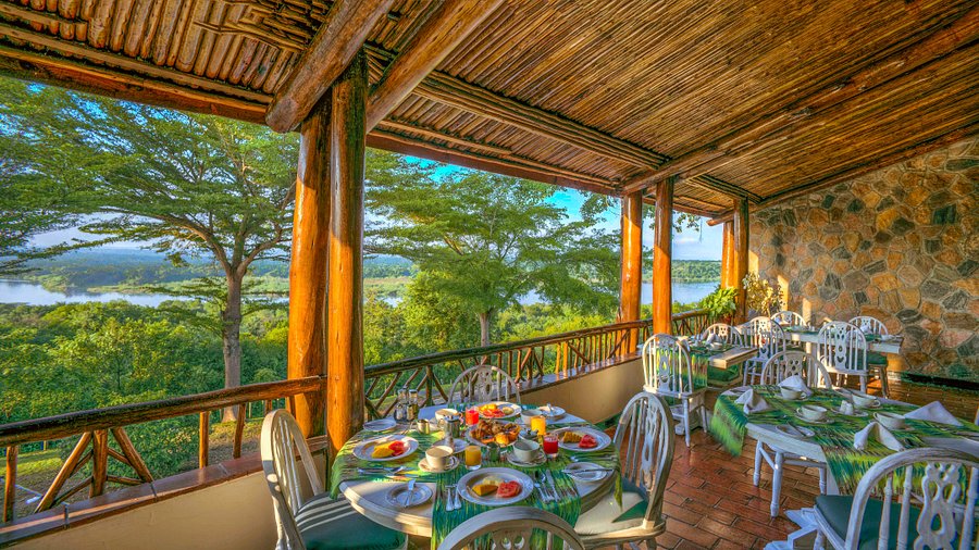 Elephants in Murchison Falls National Park
