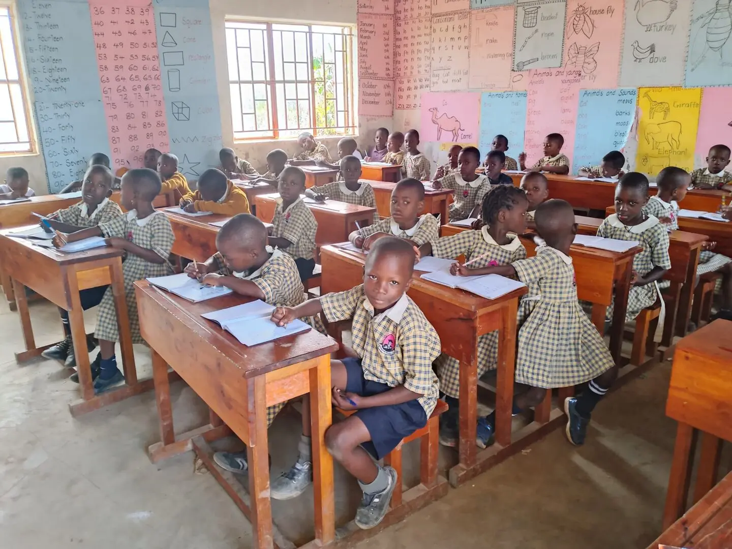 Coffee farm hands at work