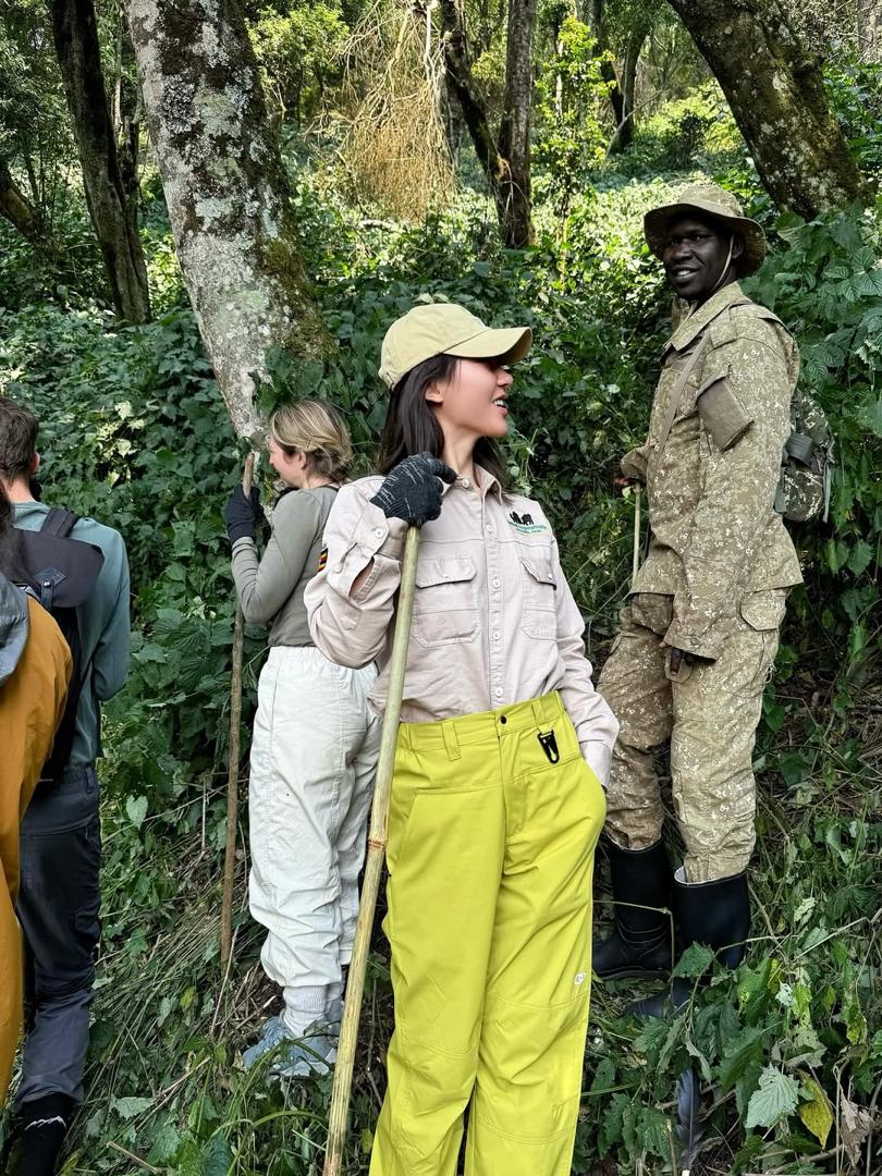Guests trekking through Bwindi forest in Uganda