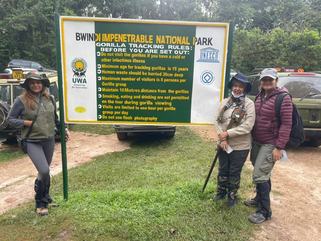 Nitu Gorilla Family Bwindi