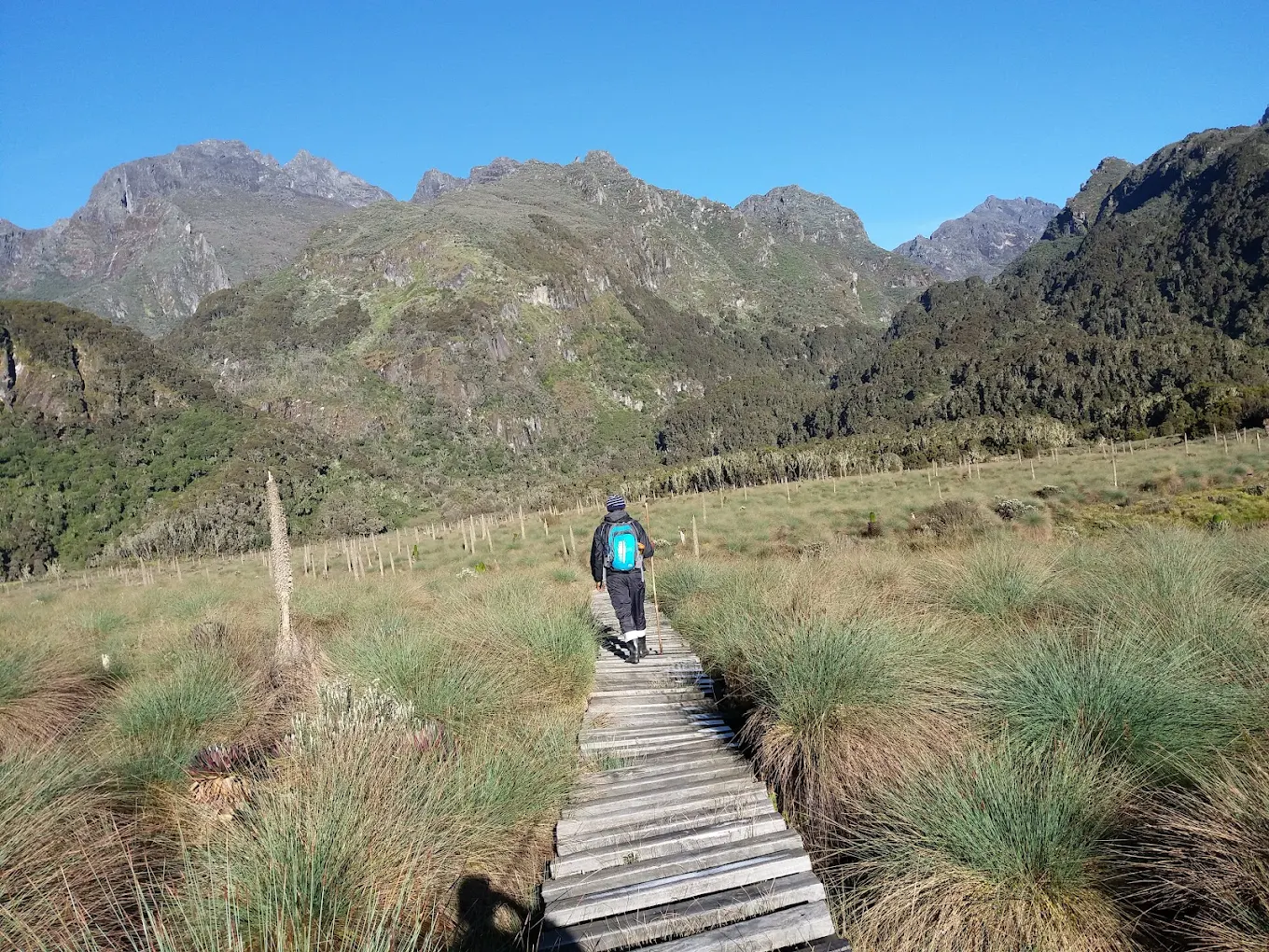 Rwenzori Short Hiking Uganda